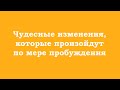Чудесные изменения, которые произойдут по мере пробуждения