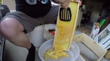Extracting honey without an extractor  Beginning beekeeping in Texas