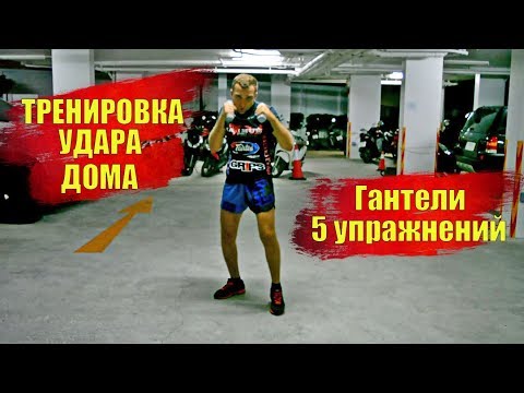 как увеличить силу удара ТРЕНИРОВКА С ГАНТЕЛЯМИ ДОМА бокс как улучшить скорость удара руками в боксе
