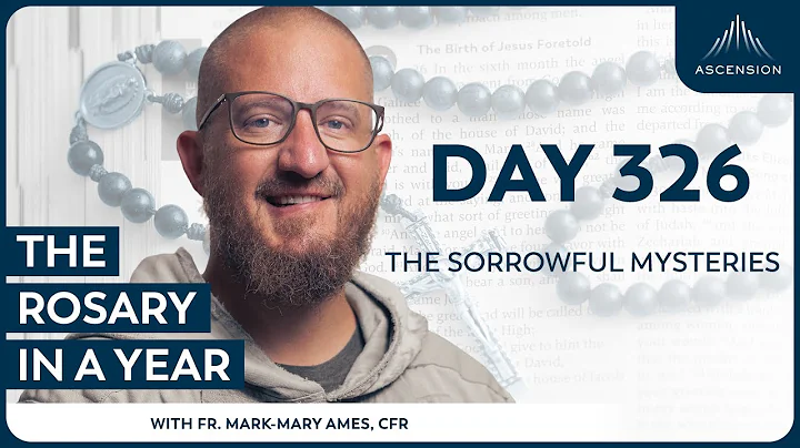 Day 326: The Sorrowful Mysteries — The Rosary in a Year (with Fr. Mark-Mary Ames)