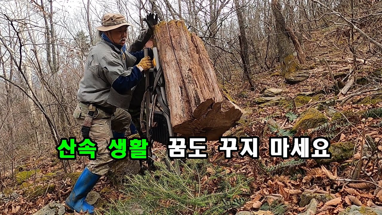산속 생활 꿈도 꾸지 마세요. 힘겨운 산속 겨울 준비하기. - YouTube