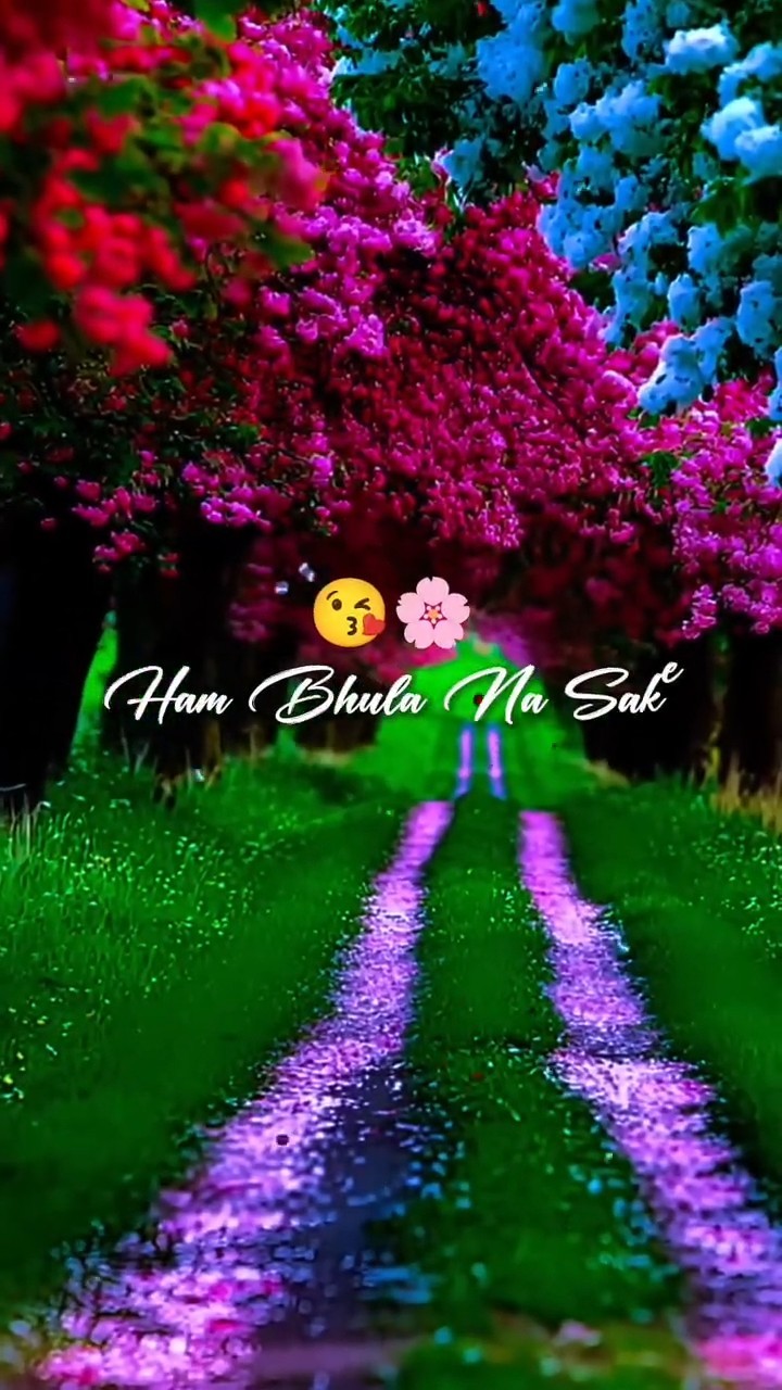 🇮🇳मेरा भारत, मेरी शान - ShareChat