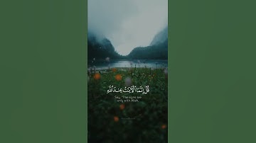 وقالوا لولا أنزل عليه آيات من ربه قل إنما الآيات عند الله وإنما أنا نذير مبين| القارئ عبدالرحمن مسعد