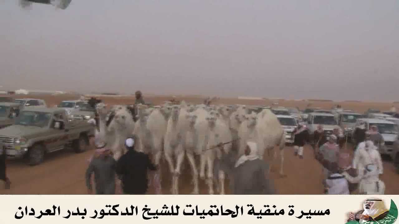 مسيرة الحاتميات للدكتور بدر العردان في مزاين شمر