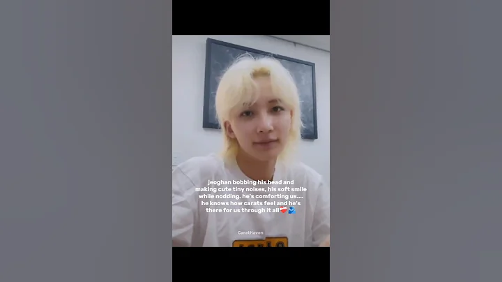 the way he was comforting us🥹❤️‍🩹 #seventeen #jeonghan #shorts