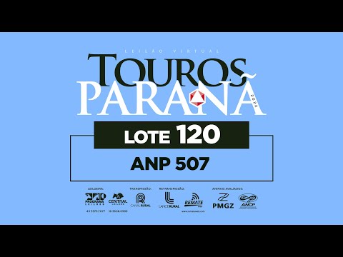 LOTE 120 ANP 507