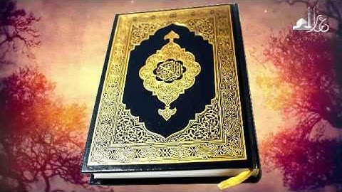 قراءة لأخيكم عمار من سورة النساء