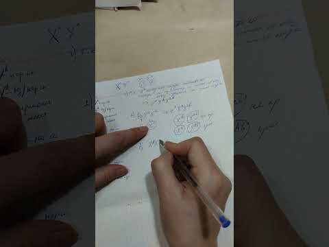 Псевдоаутосомное. В Х-