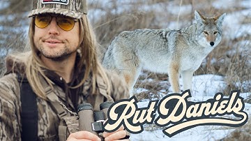 Rut Daniels Coyote Hunt | Couple Yotes Bite the Dust