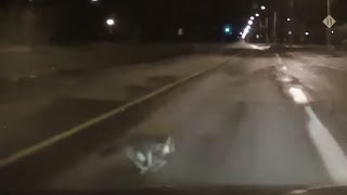 Cat gets hit by car by OneSixR 446,536 views 8 years ago 16 seconds