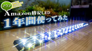 #アクアリウム Amazonの水槽用格安LEDライト、１年間使ったレビュー ※動画概要欄に訂正あり