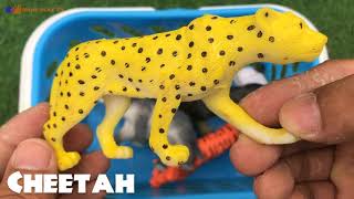 Toys video Wild Animals Learning Name and Sounds, Animals for kids, Toys Animals learning video Toys video Wild Animals Learning Name and Sounds, Animals for kids, Toys Animals learning video
