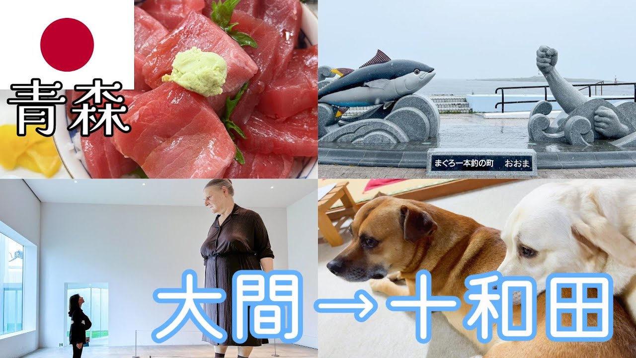 【青森③/むつ・十和田】大間のマグロと十和田市現代美術館と宿の看板犬【3泊4日】 YouTube
