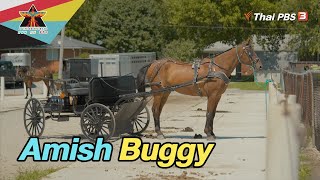 Amish Buggy | A Life on the Road ถนน คน ชีวิต