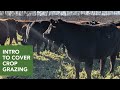 Intro to Cover Crop Grazing (local on-farm demo)