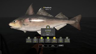 TROPHY HADDOCK RUSSIAN FISHING 4 PC 2024