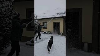 playing with snow