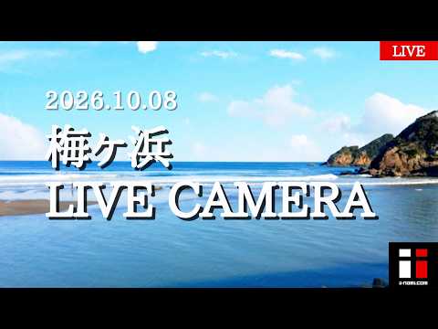 日南市 梅ヶ浜 波情報 のライブ映像