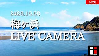 日南市 梅ヶ浜 波情報 のライブ映像