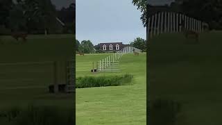 deer jumping Timeless Fence