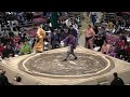 4K『十両トーナメント全取組①❗️』【日本大相撲トーナメント 第50回大会】 [50th grand SUMO TOURNAMENT ]2026/02/08