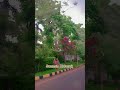 Today Cloud's,Windy & Rainy weather in Lahore #lahore#jummahmubarak#windy#cloudy#rainfacts#rainrain