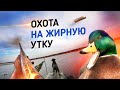 Охота на жирную утку | С собакой | Осень 2020