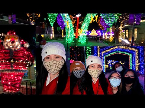 Video: Đèn tại Vườn thú Lincoln Park: Giáng sinh ở Chicago