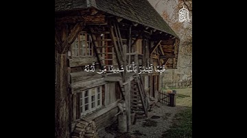 سورة الكهف يوم الجمعة  ( تذكر ).........  #قران_كريم #قران #explorepage #اكسبلور #المصحف #راحة_نفسية