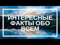 ТОП 10 ИНТЕРЕСНЫХ ФАКТОВ которые вы не знали | Невероятные факты