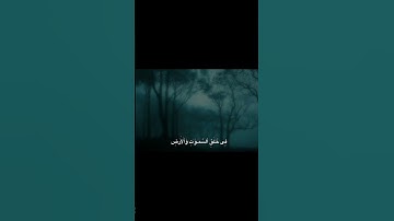 الَّذِينَ يَذْكُرُونَ اللَّهَ قِيَامًا | محمد صديق المنشاوي | سورة آل عمران