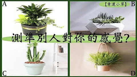 【心理測驗】你最喜歡哪一個盆栽放在家裏,測準別人對你的感覺? - 天天要聞