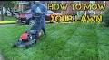 Video for Lawn Care Trims