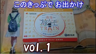 Nankai Travel Nazotrain: Out and About with a One-Day Pass 1