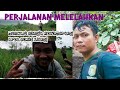 mencari bunga kecumbrang di bukit Liang(kalimantan barat)