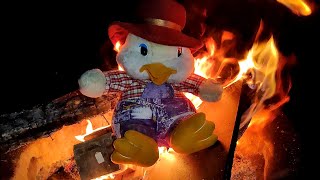 Duck on fire - burning