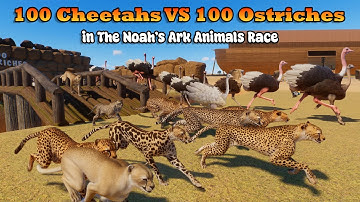 100 Cheetahs VS 100 Ostriches Animals Race in Noah