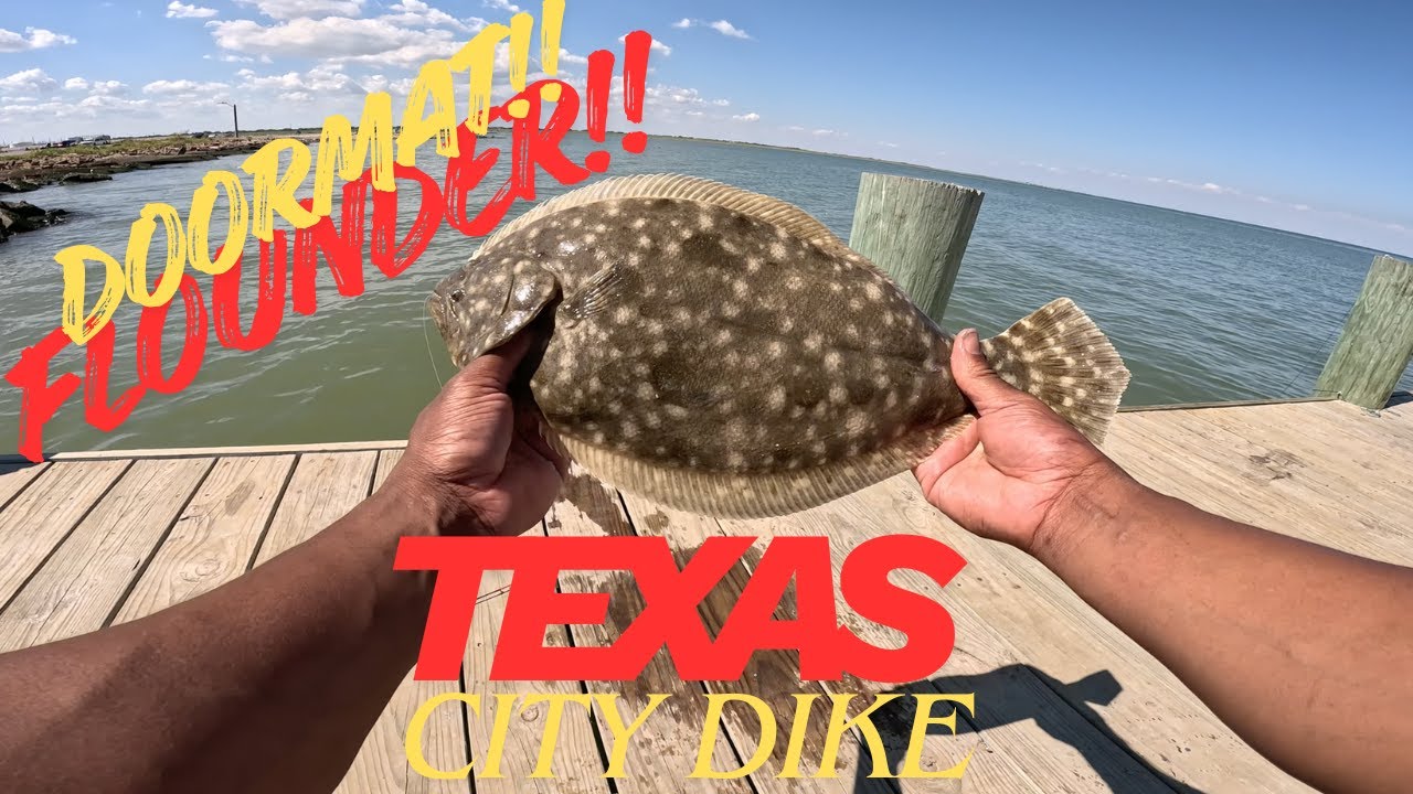 Texas City Dike Flounder Fishing (Catch&Clean)