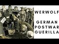 Werwolf - German postwar guerilla movement (1944-1947)