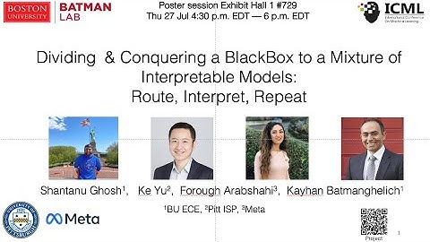 [ICML 2023]:Divide and Conquer a BlackBox to a Mix of Interpretable Models: Route, Interpret, Repeat