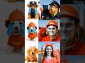 🐾Hero Pups Transformation: the Recycling Pup, the Flying Pup & the Leader #shorts#funny