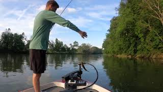 Catching Bass On the South Fork of the Shenandoah at Egypt Bend
