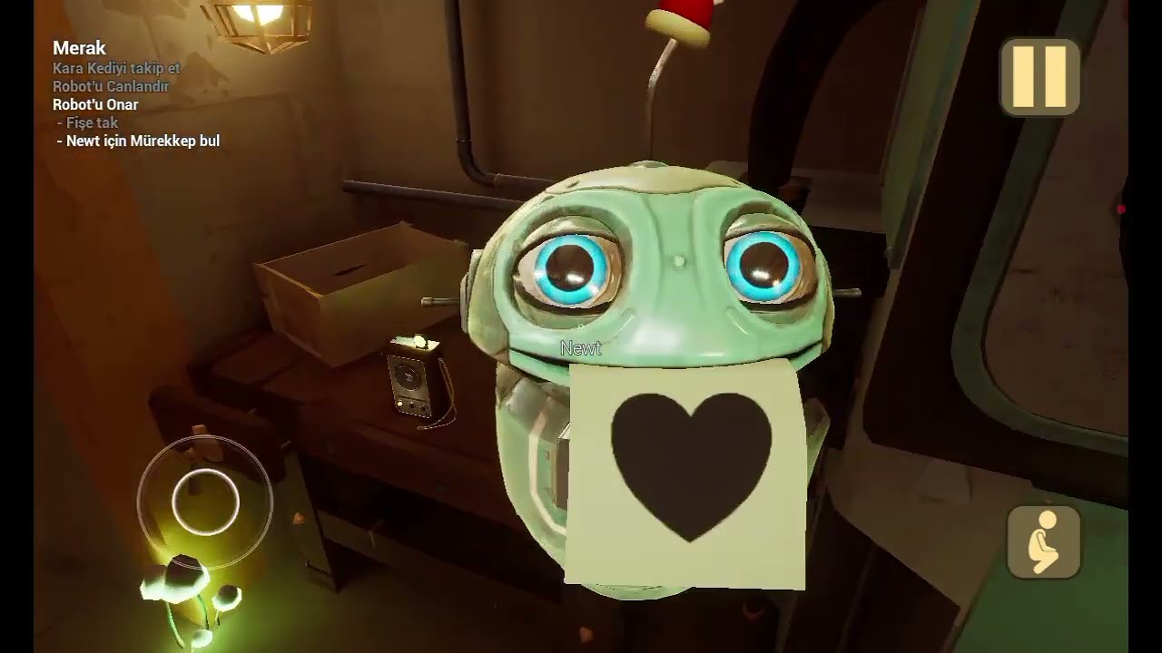 Bunası kedi the baby in yellow kara kedi 