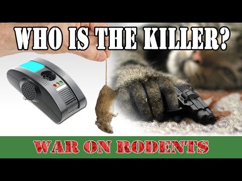 Best pest repellers-Do the electronic rodent repellent sound really work?