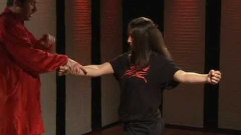 Kung Fu Tan Tui 3 Rolling Block Inch Kick Back Fist Transition