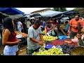 FEIRA LIVRE DE JAQUEIRA PERNAMBUCO VEJA MAIS UMA FEIRA QUE É TRADIÇÃO NO NORDESTE DO BRASIL