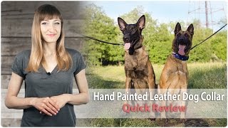 Hand Painted Leather Dog Collar for Walking and Training - Review Hand Painted Leather Dog Collar for Walking and Training - Review