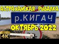 Астраханская рыбалка. КИГАЧ ОКТЯБРЬ 2022