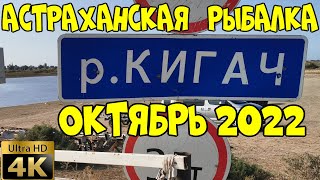 Астраханская рыбалка. КИГАЧ ОКТЯБРЬ 2022