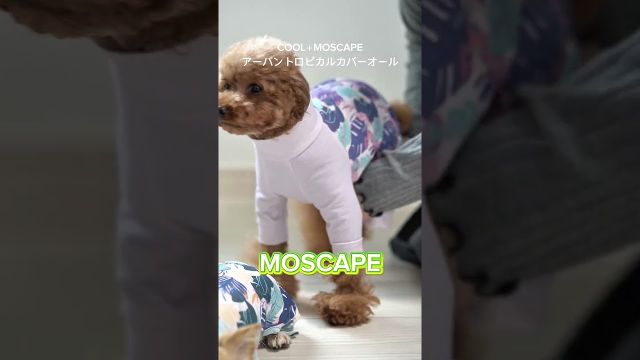 iDog COOL+MOSCAPE アーバントロピカルカバーオール 接触冷感 防蚊